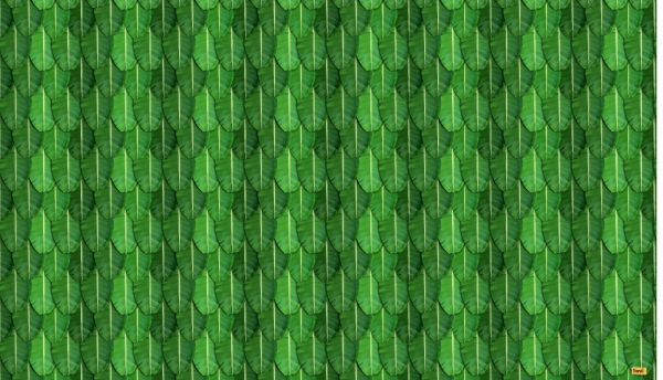 Velvette Fabric Banana Print Backdrop 5x8Feet