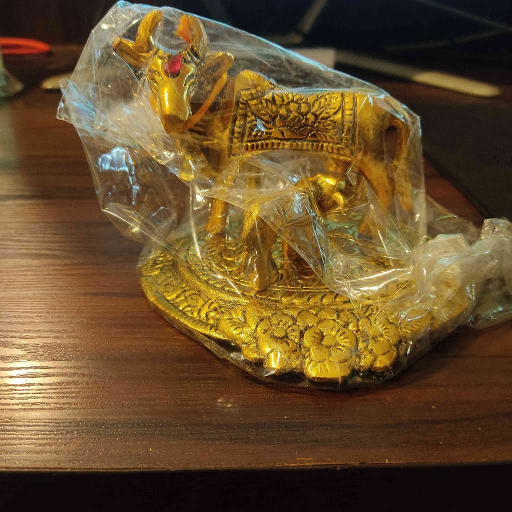 Gold Cow n Calf Oval Medium