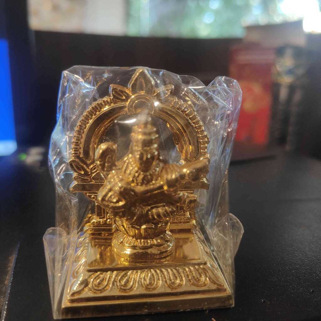 Mahrav Saraswathi Mini