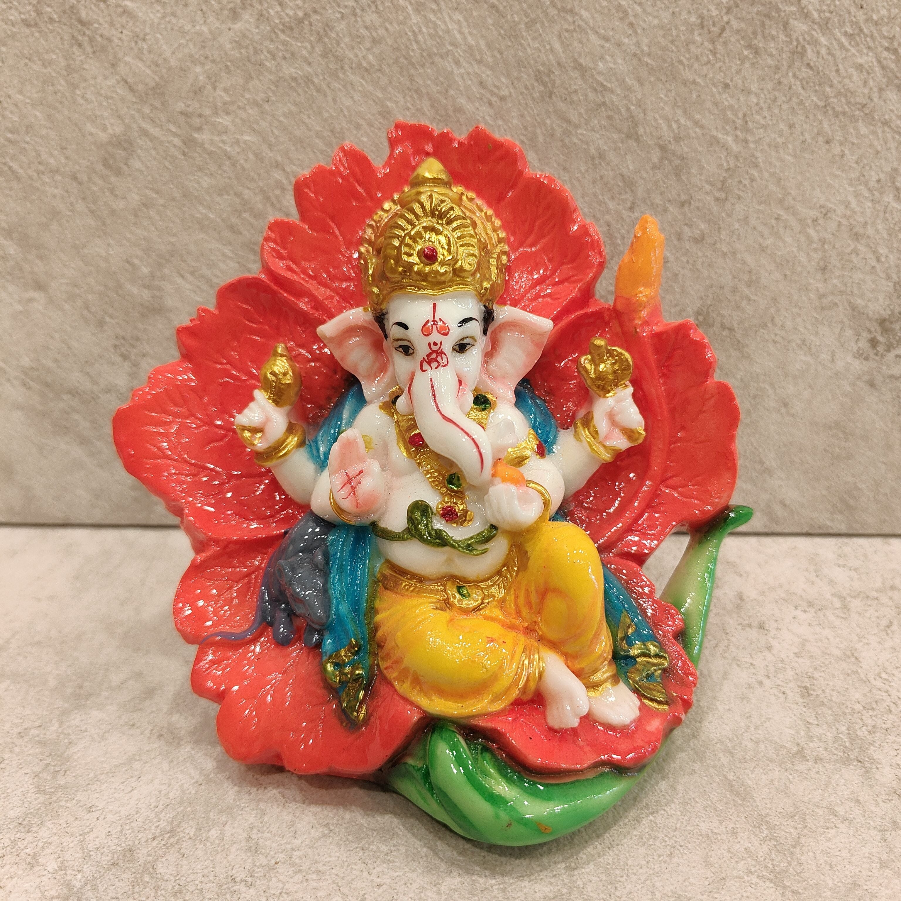 Hibiscus Ganesh Small