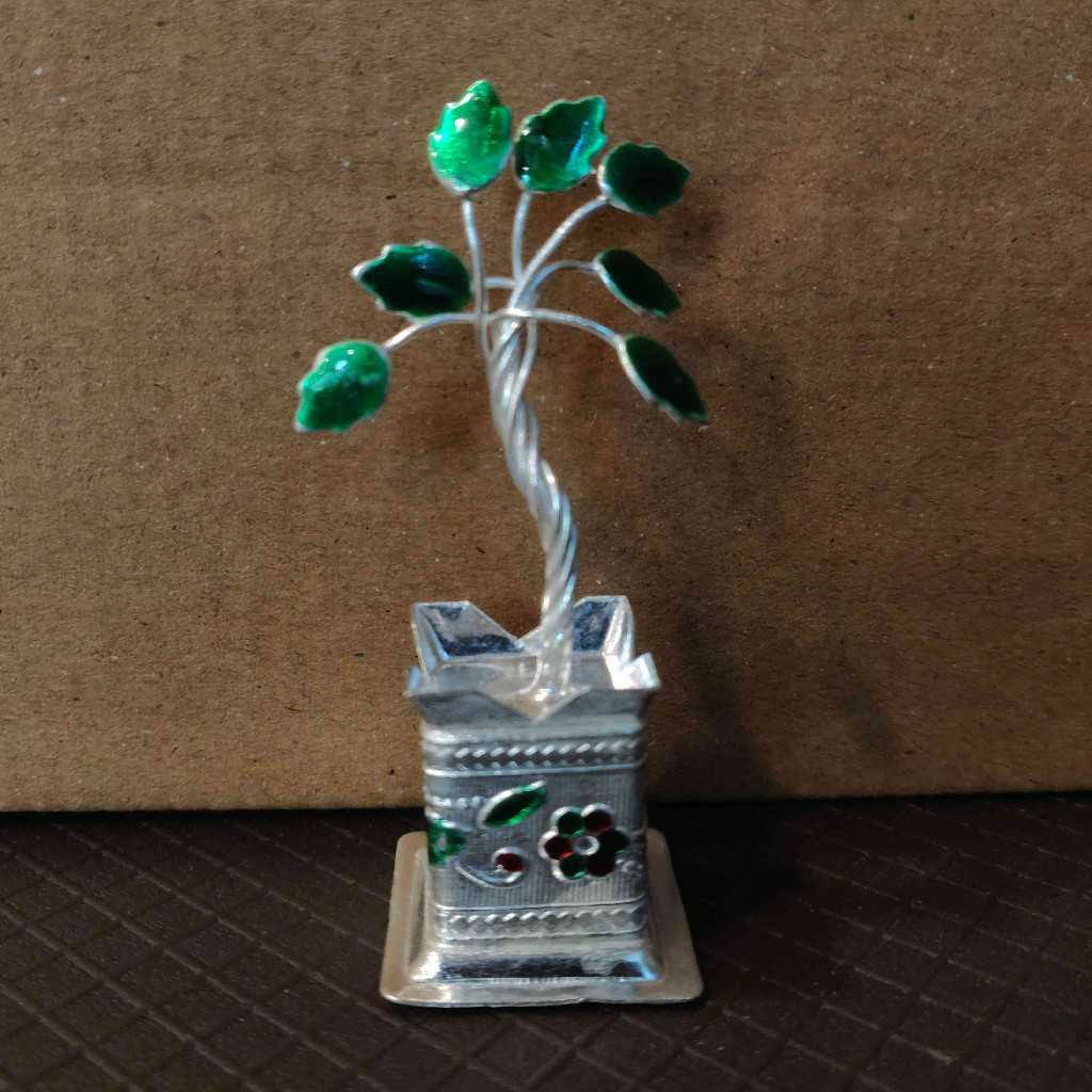 GSB Minakari Tulsi Plant 20